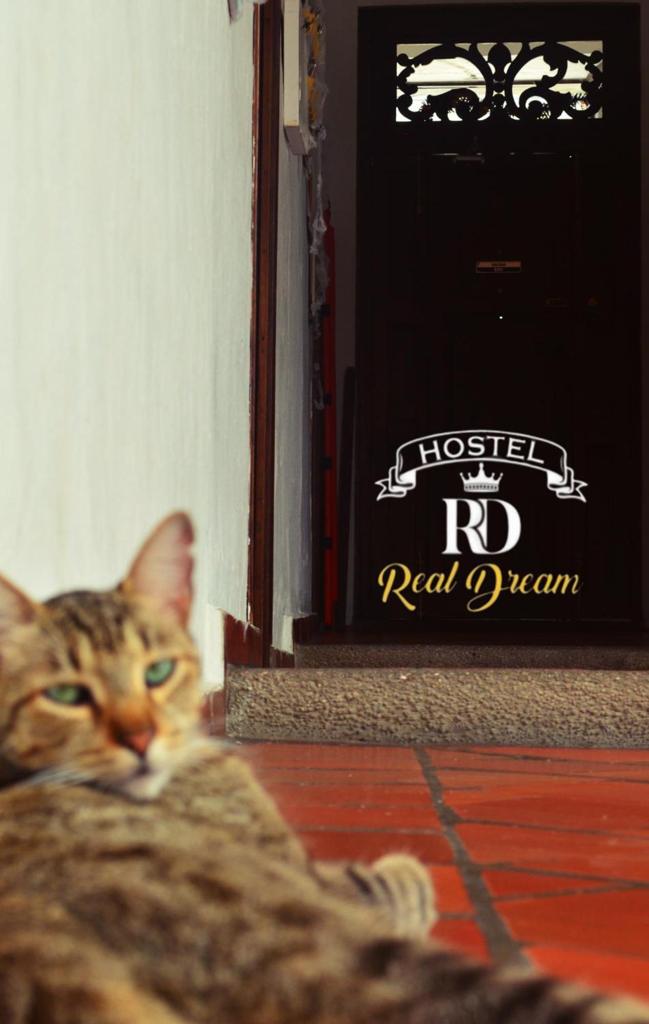 Real Dream Hostel San Gil Exteriör bild